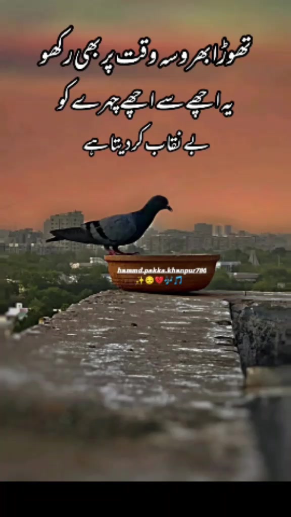 @shahid misri