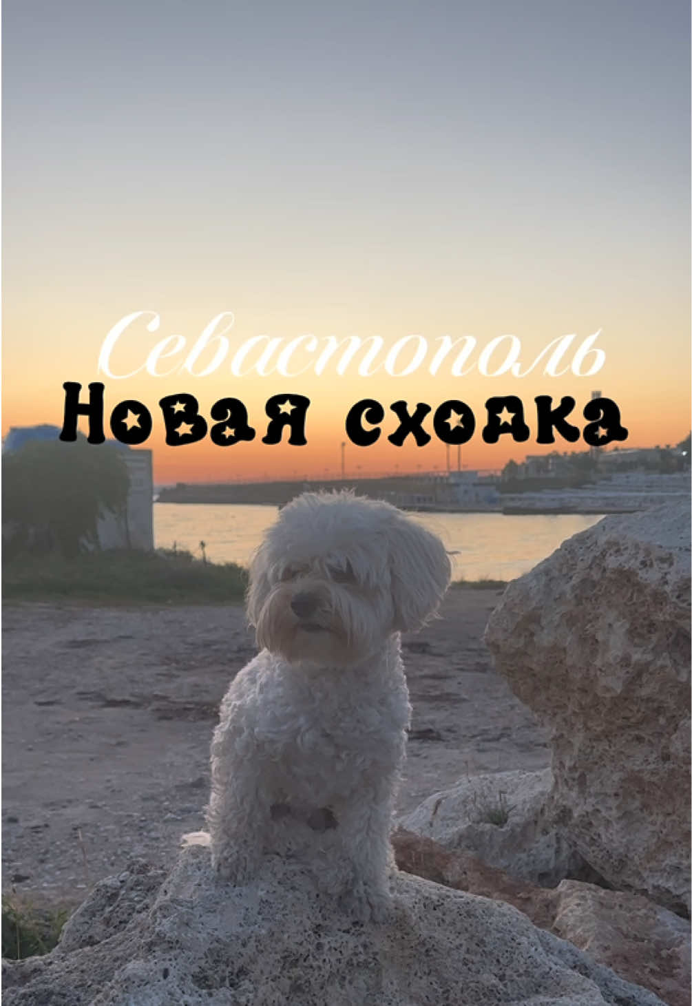 @Ⲕⲁⲕⲁⲧя ྀིྀི