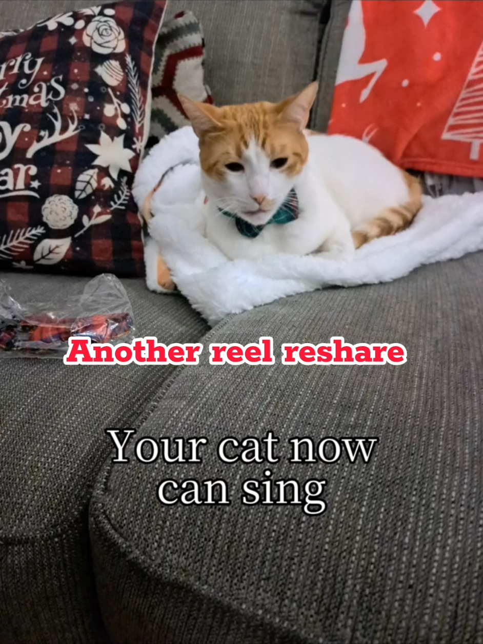 @Candice & Weasley