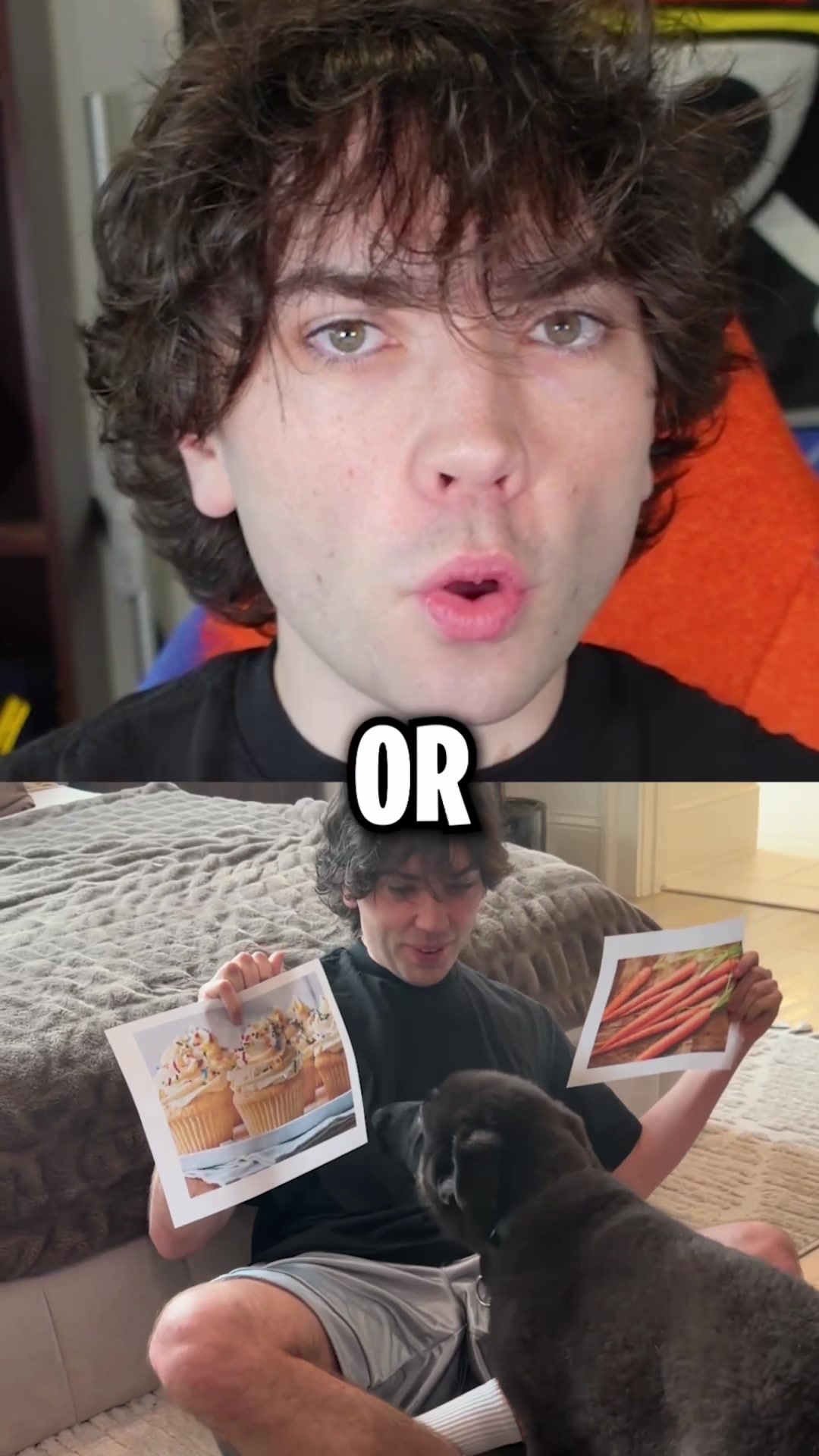 @yeSloth
