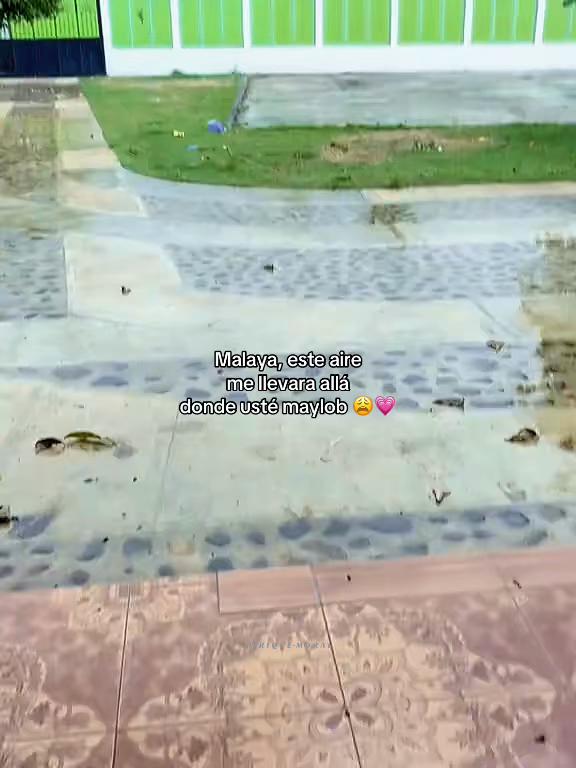 @๐ฅท๐ป๐ธ๐๐๐พ๐๐๐๐
๐ฃ