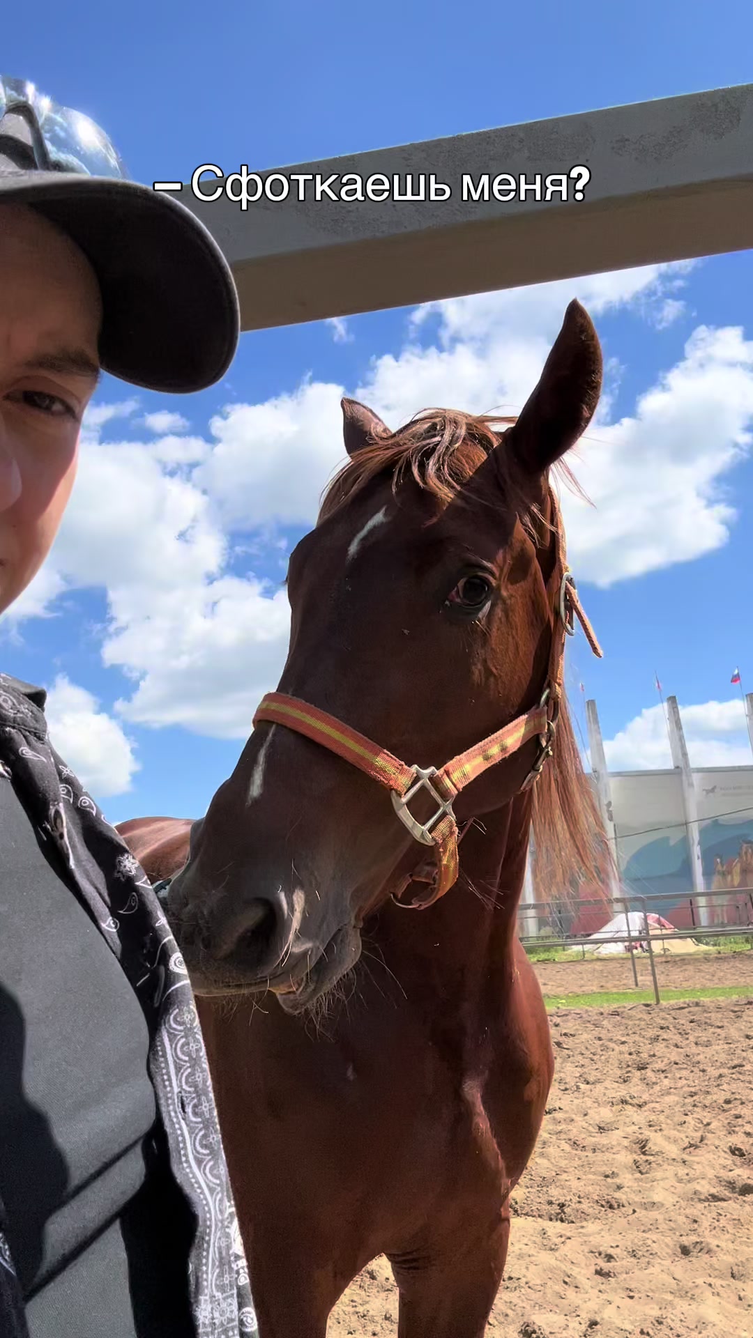 @ТГК: Sonya and the Trotters🐴