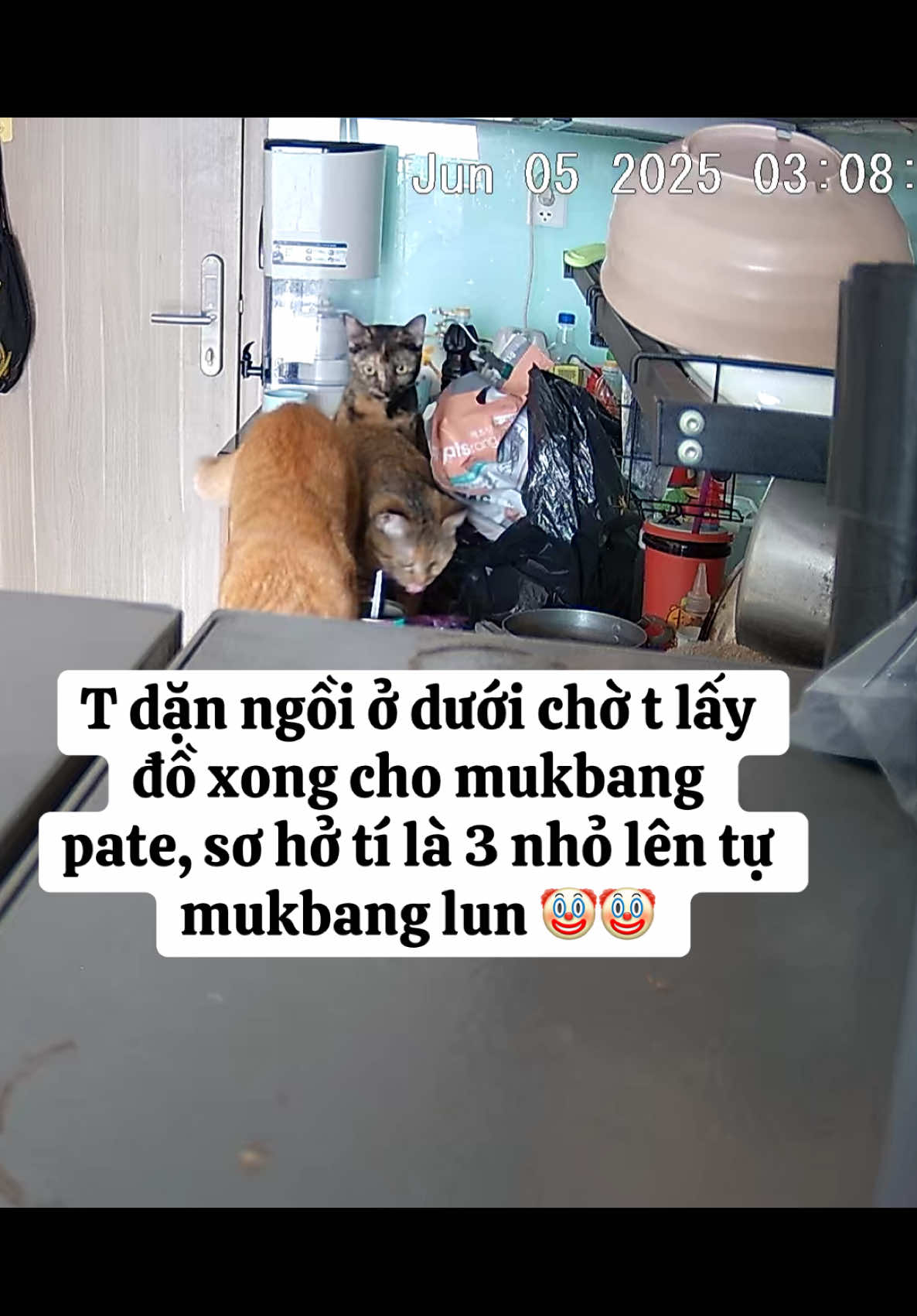 @Em p&eacute; Cam 🍊🧡
