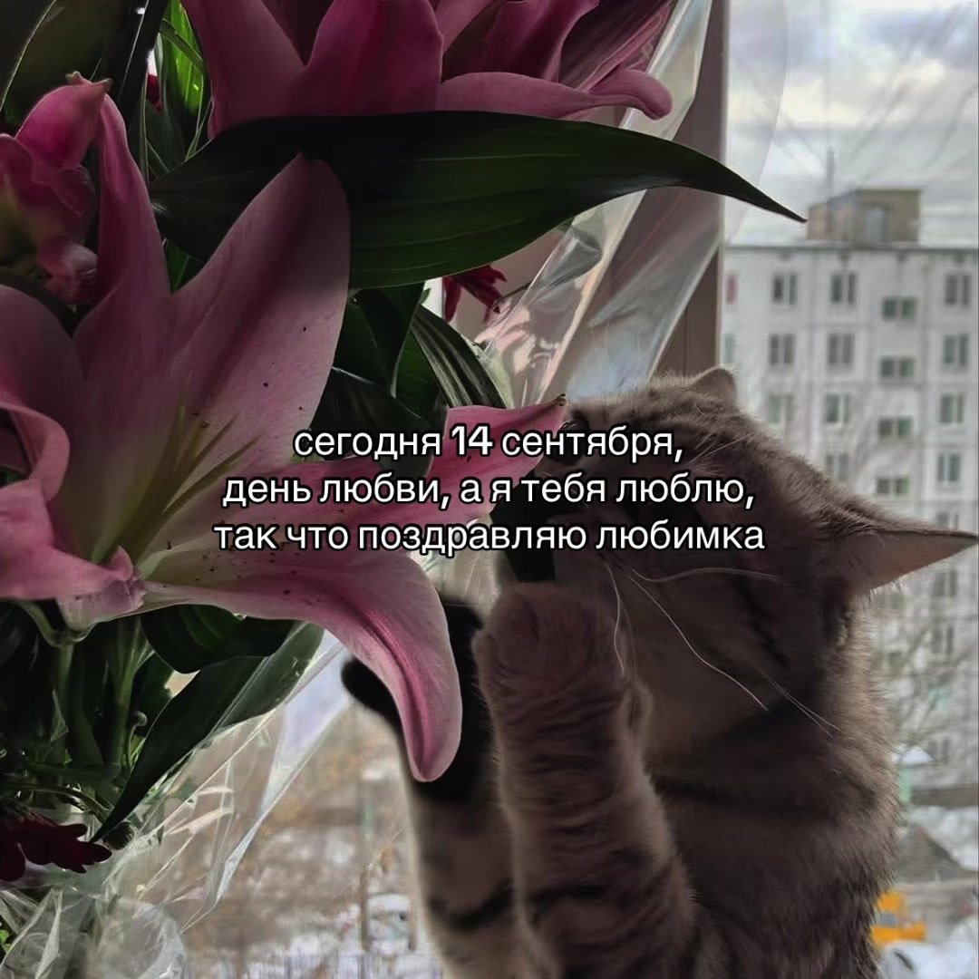 @Х̶И̶Т̶Ы̶ У̶ П̶Л̶И̶Т̶Ы̶🎧