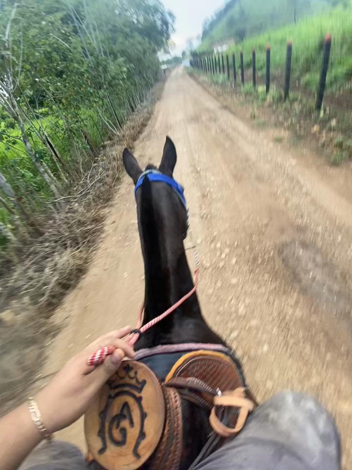 @Alex González🤠38