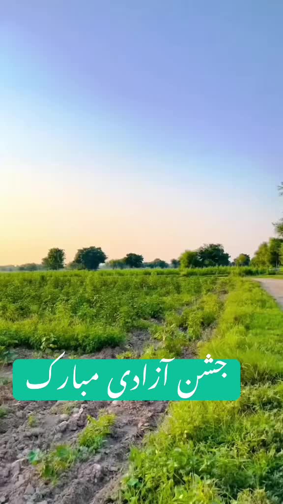 @Ali Faisal Jutt