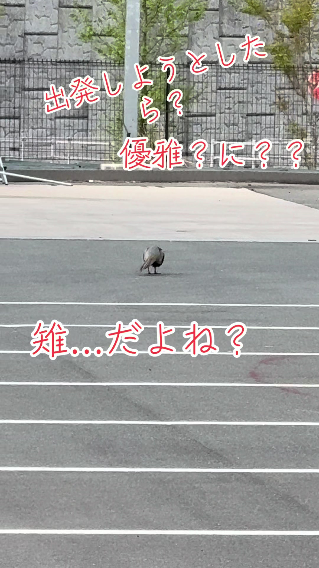 @ジィジ