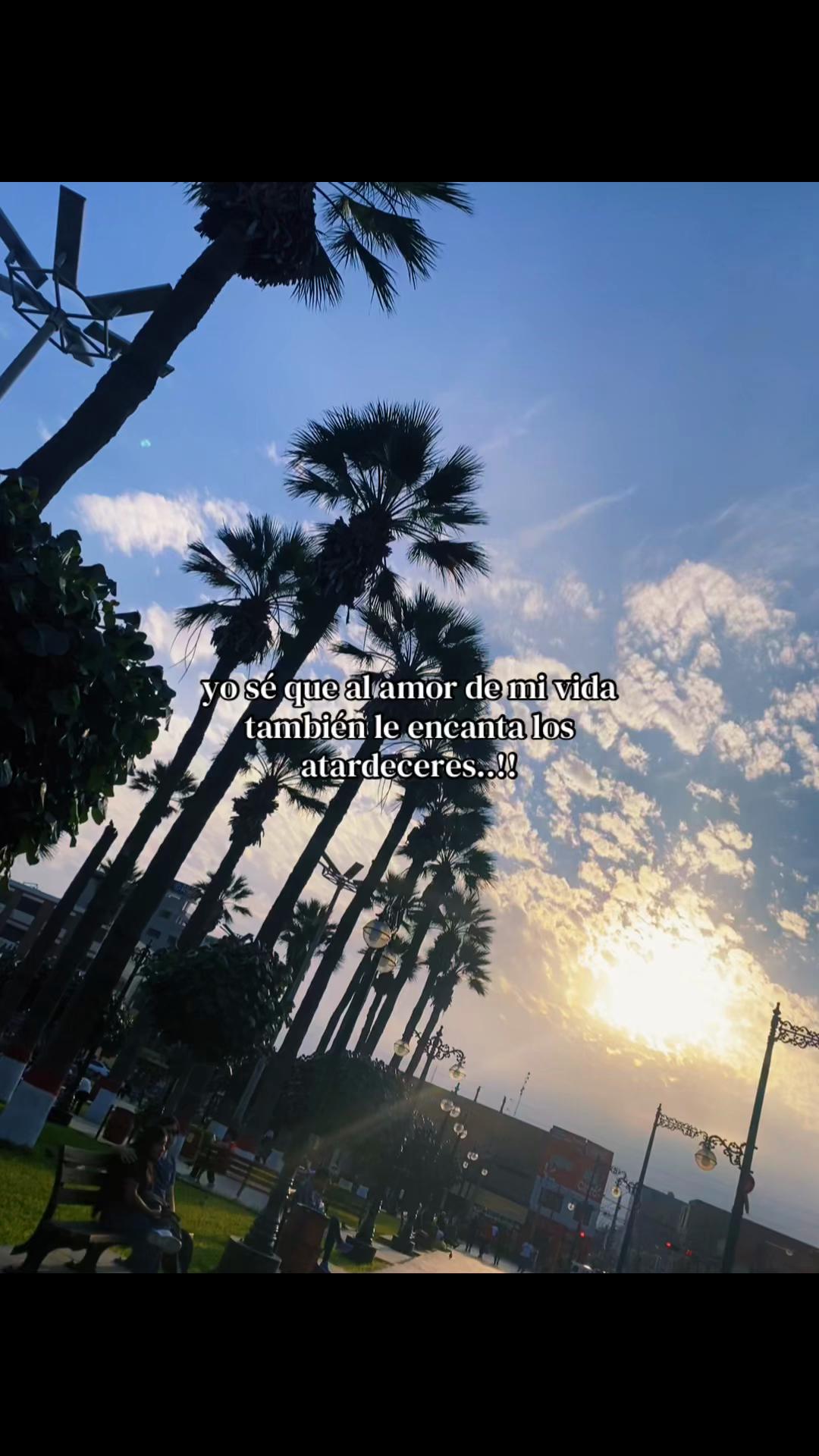 @➳ ¨̮𝓐. 𝓔𝓵𝔂♡ッ