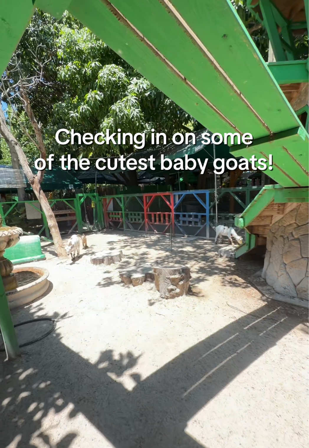 @The Girls Strawberry Patch