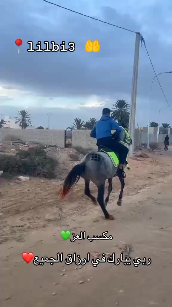 @bader ._. ❤️🔥🐴📍