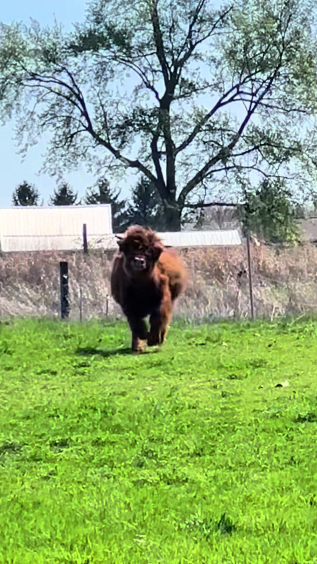 @eastwood_homestead