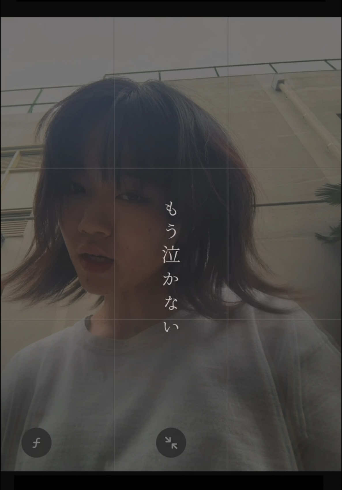 @蔦