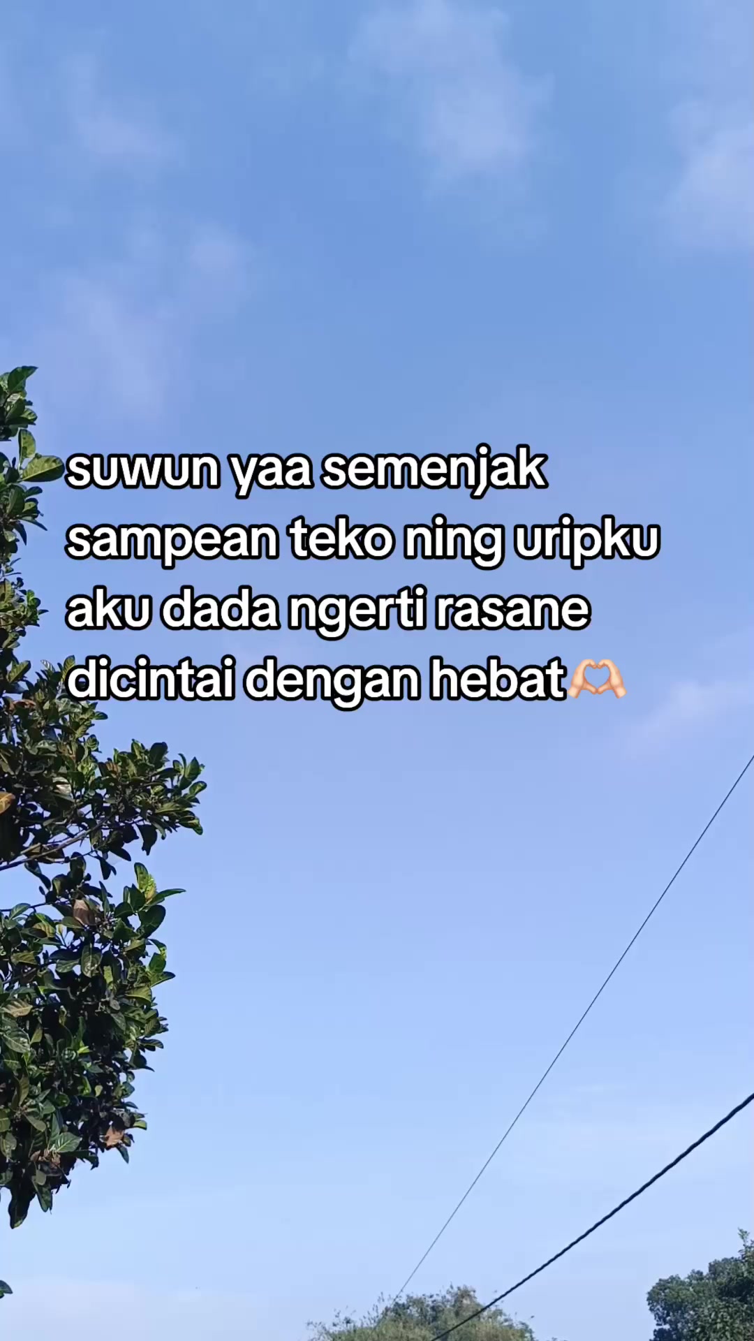 @IG @4dzxx²⁶⁰