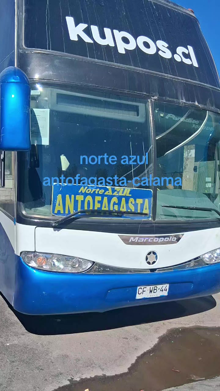 @Busología renato 😎