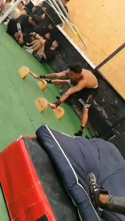 @danifenix369