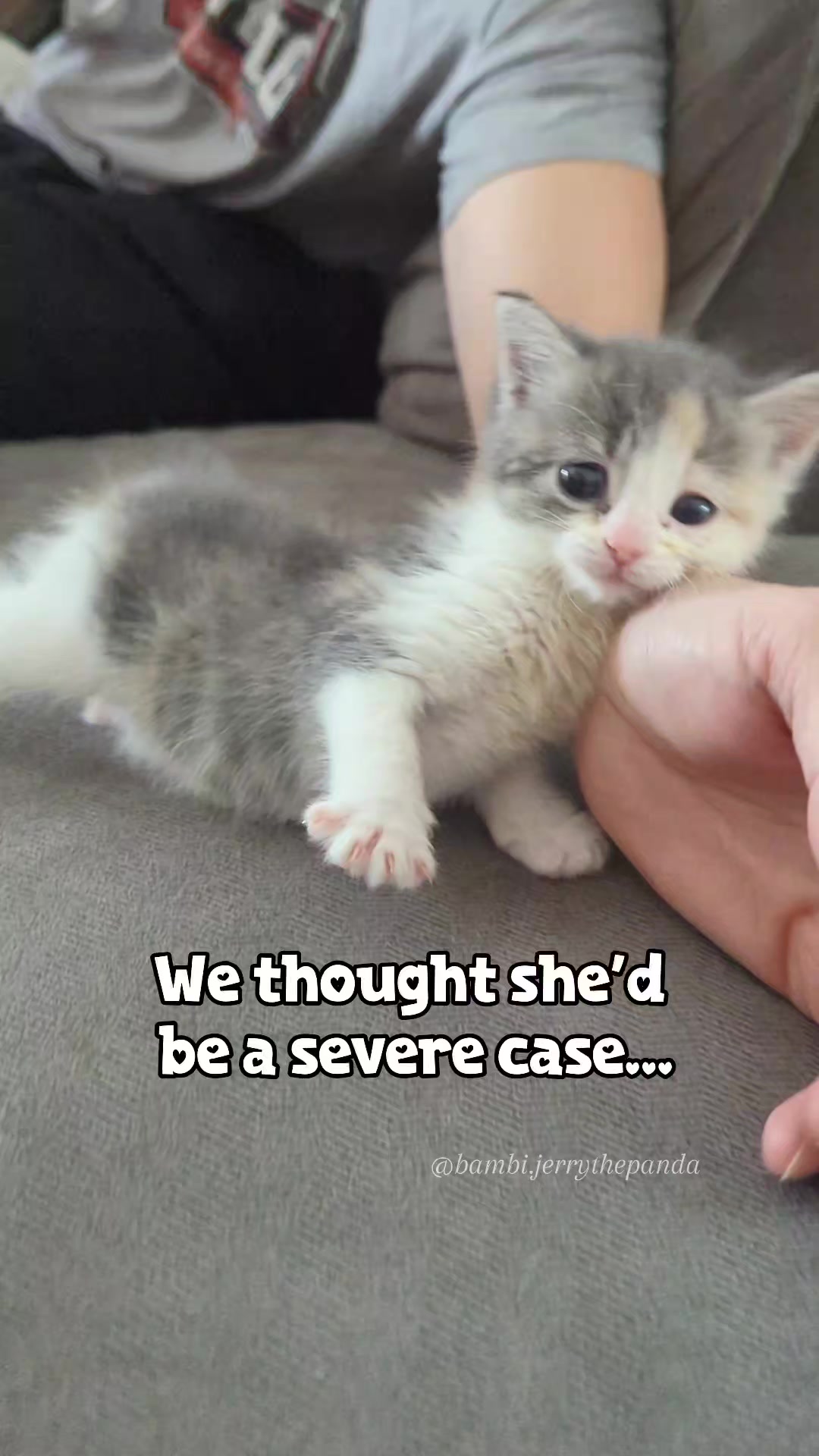 @bambi.jerrythepanda