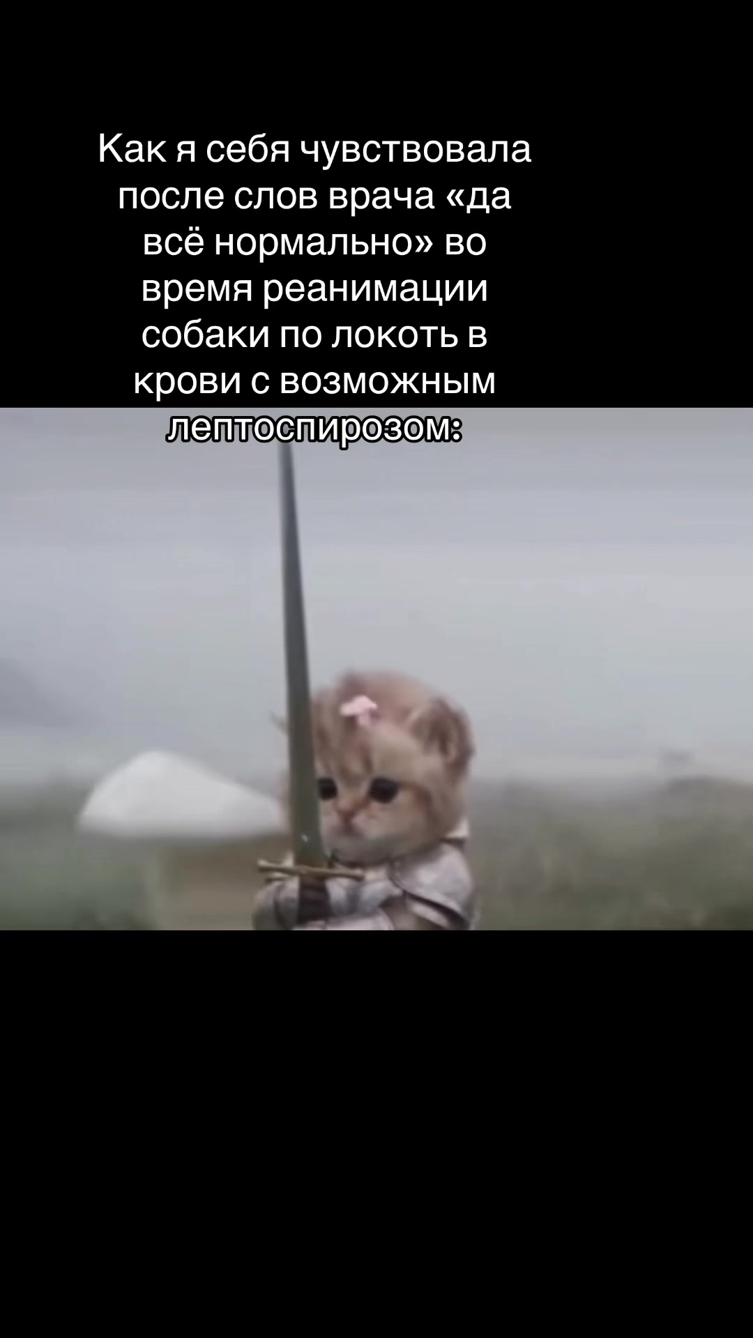 @Бельферг