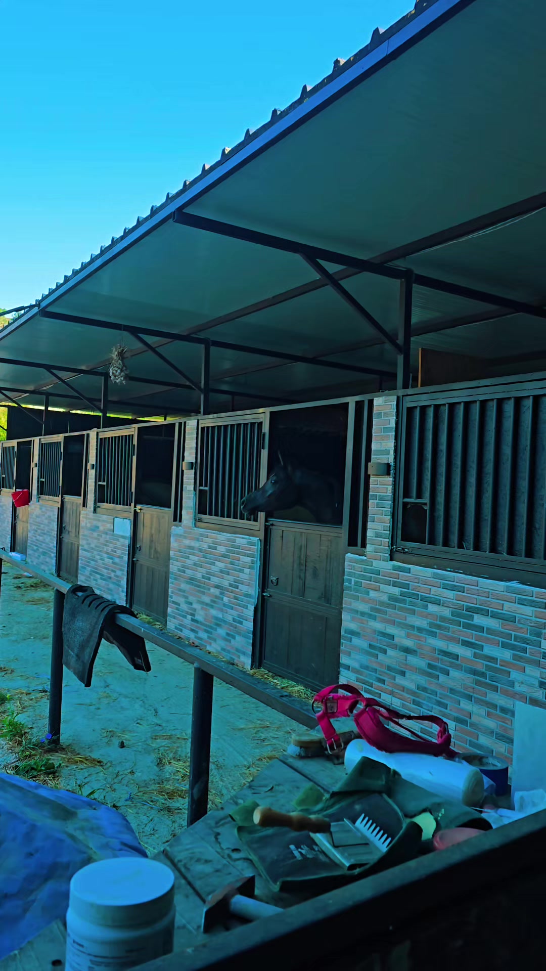 @Horse Training Center Albania