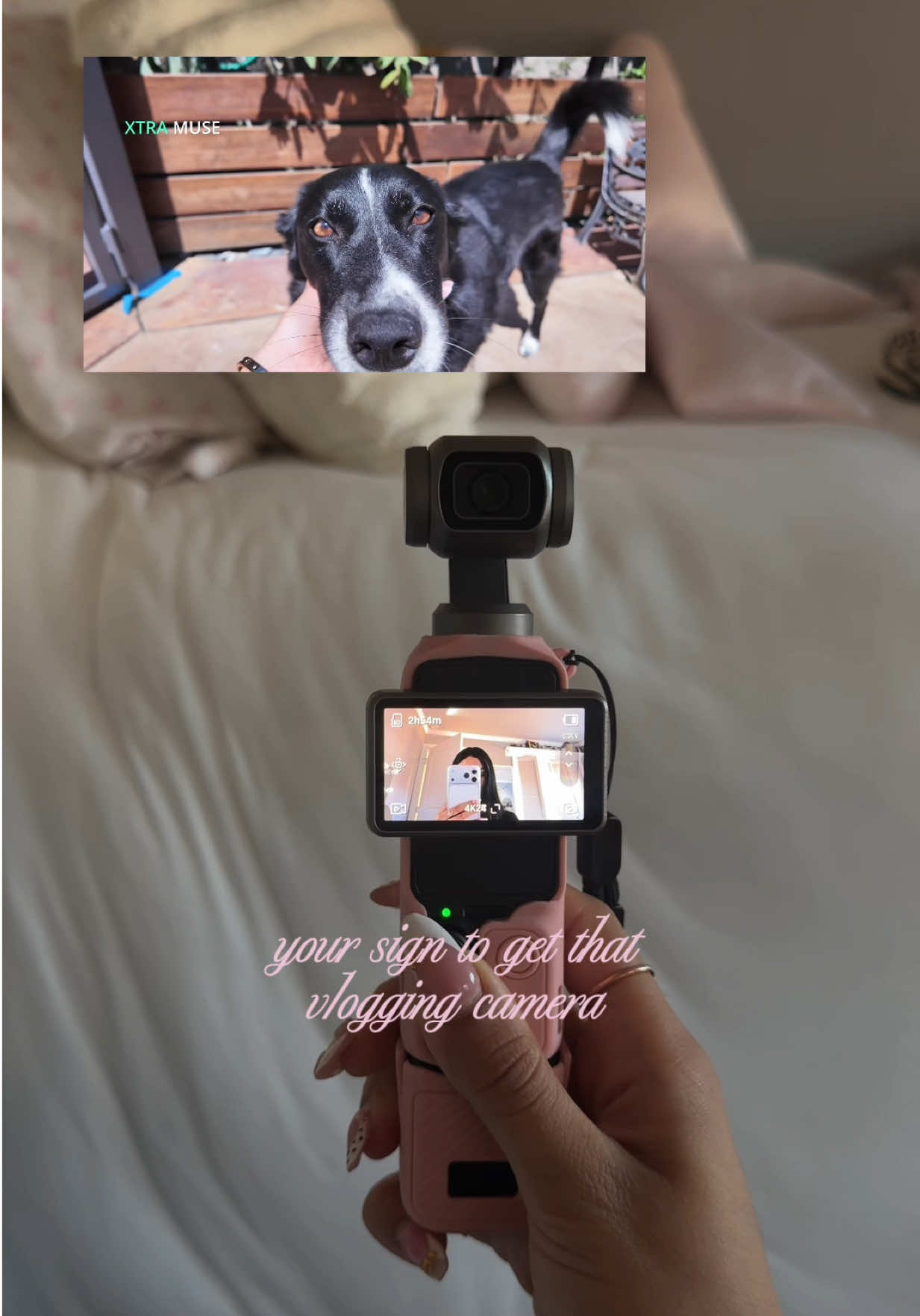 @lovelyyjj