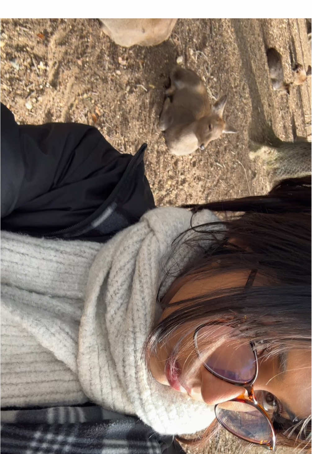 @allie ౨ৎ⋆˚。⋆