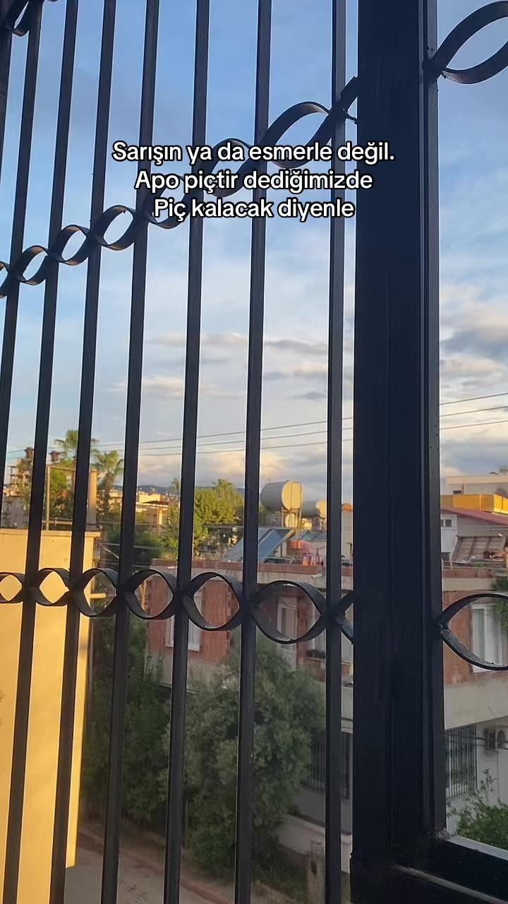 @Tomris Soyt&uuml;rk🇹🇷