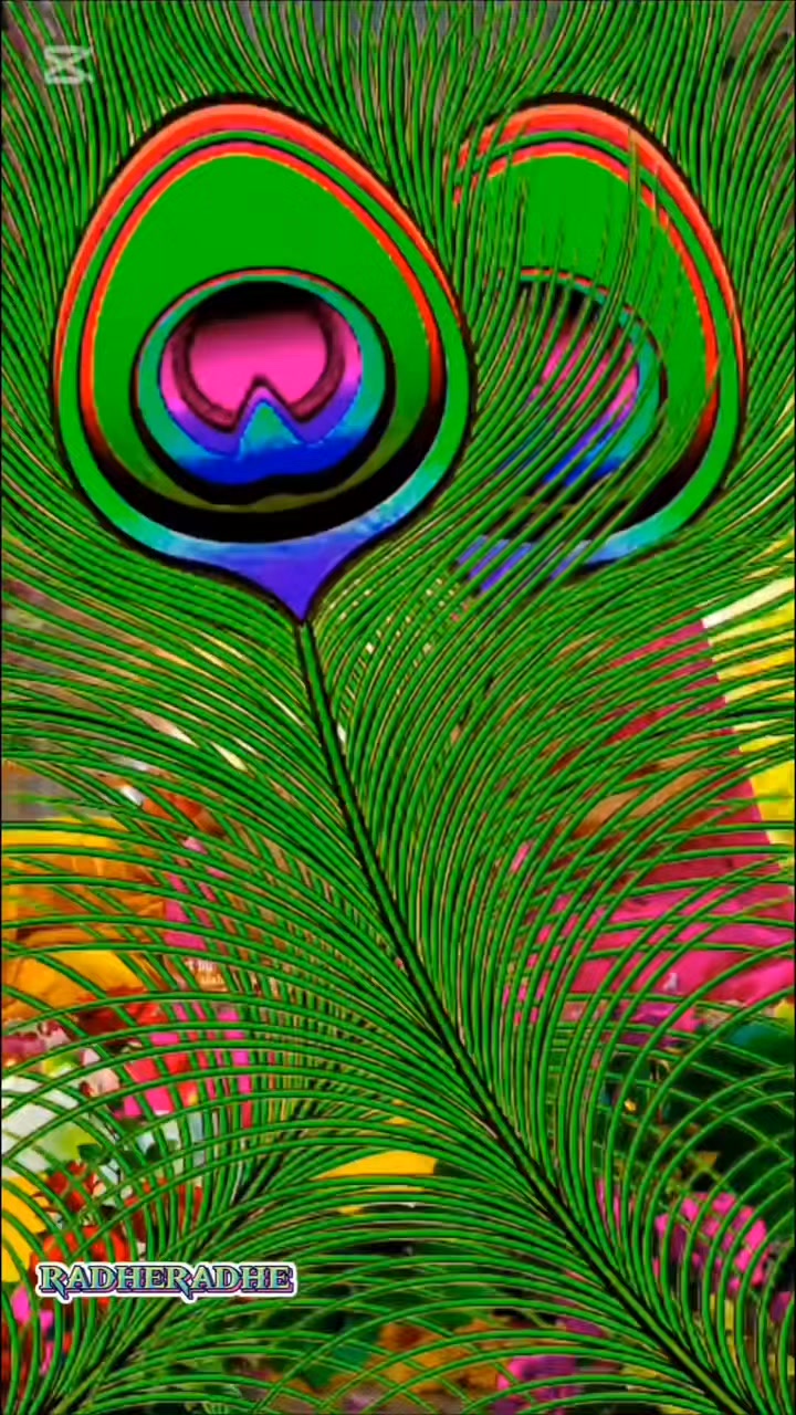 @ððºð¯ððšðŽðŠðŽðŒð²ð¯ð°ððšð©