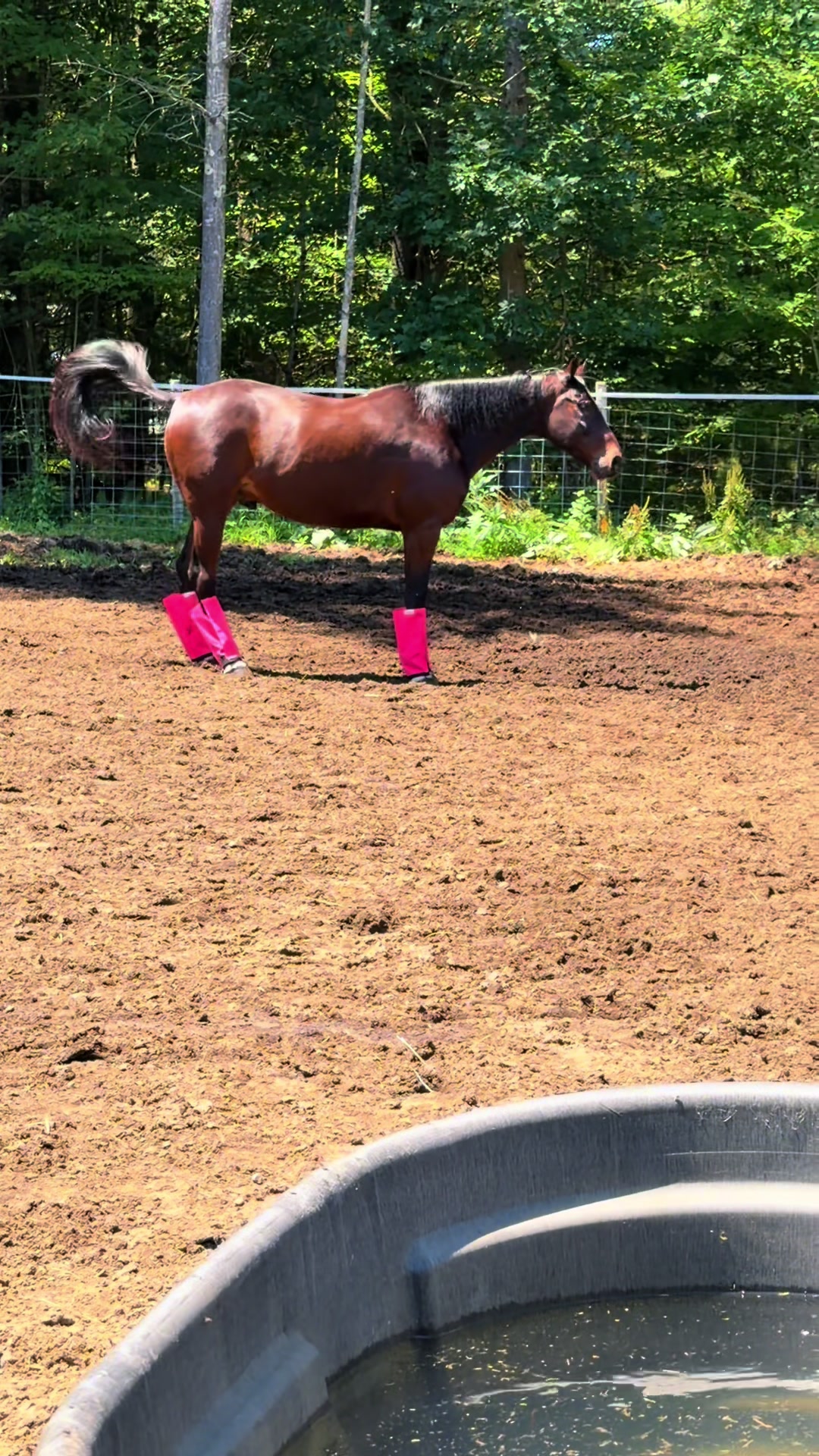 @Unshackled Hearts Ranch