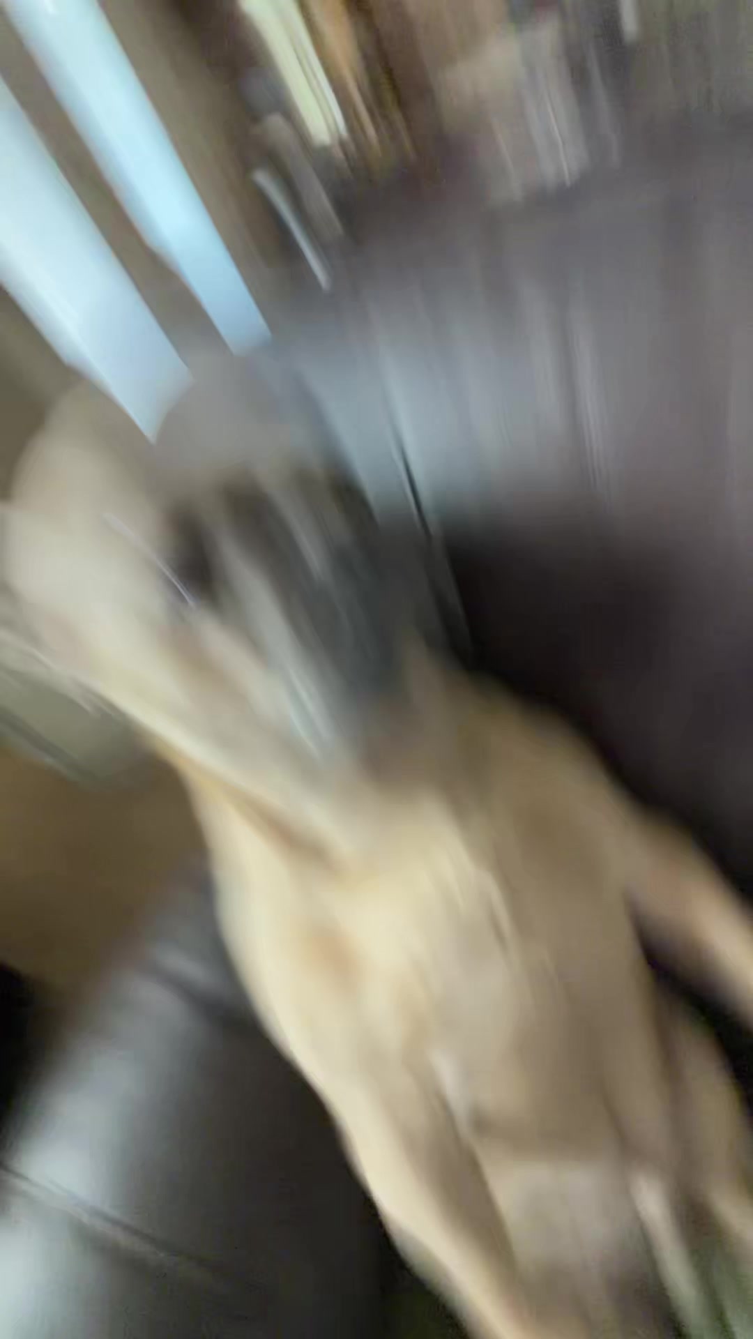 @bentleytheg0at