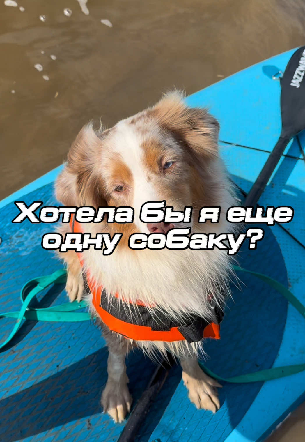 @𝚃𝚠𝚒𝚡