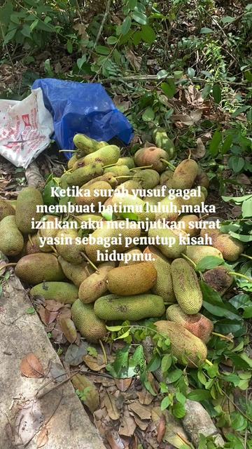 @INISIAL AR🚀🇸🇦
