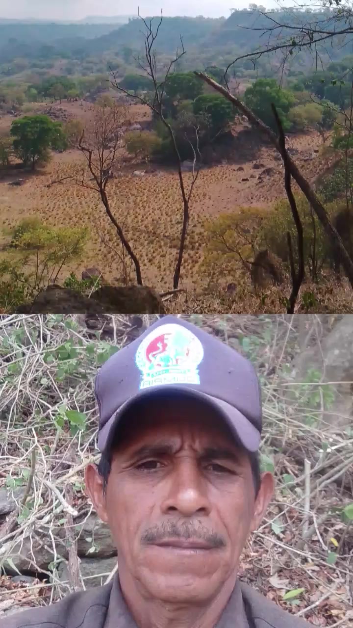 @conrrado Vásquez