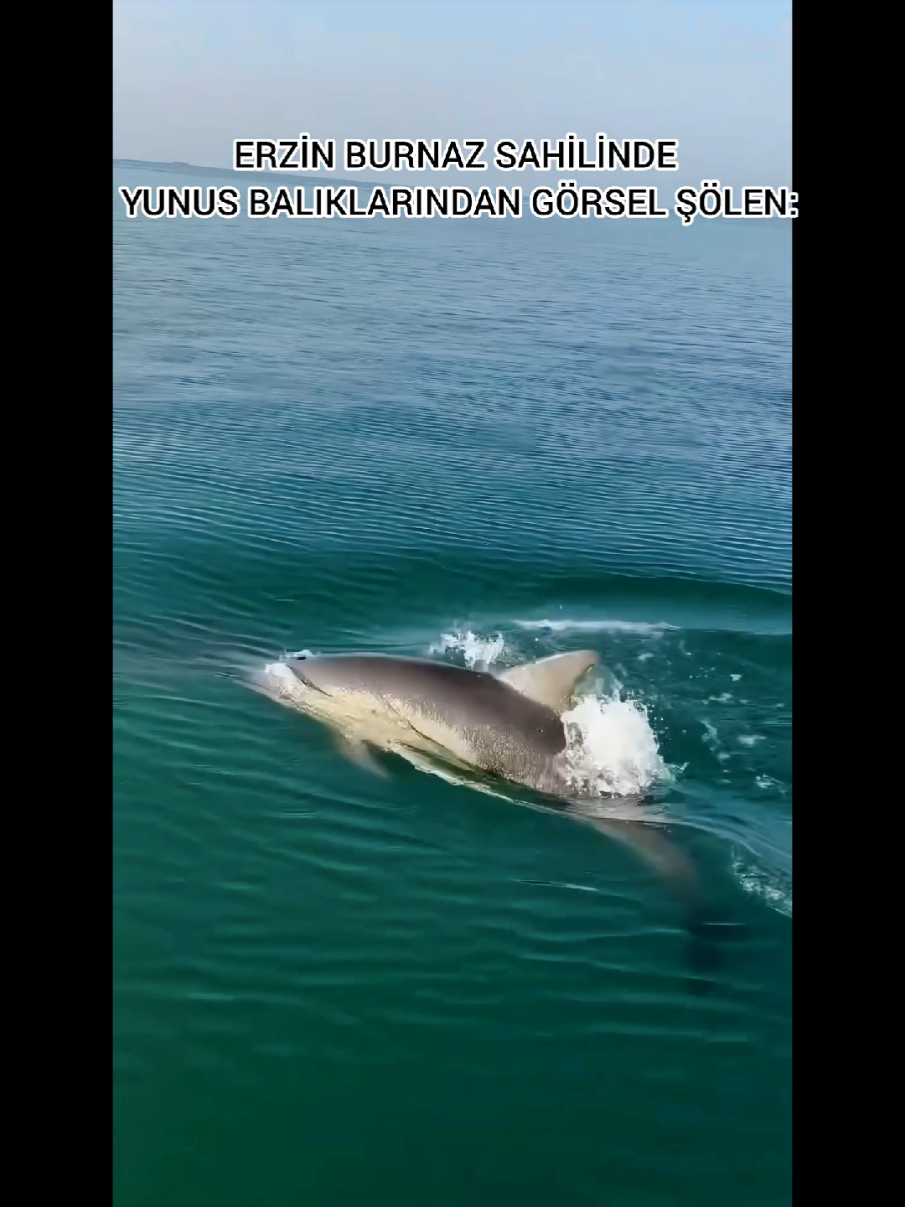 @iskenderunbülteni