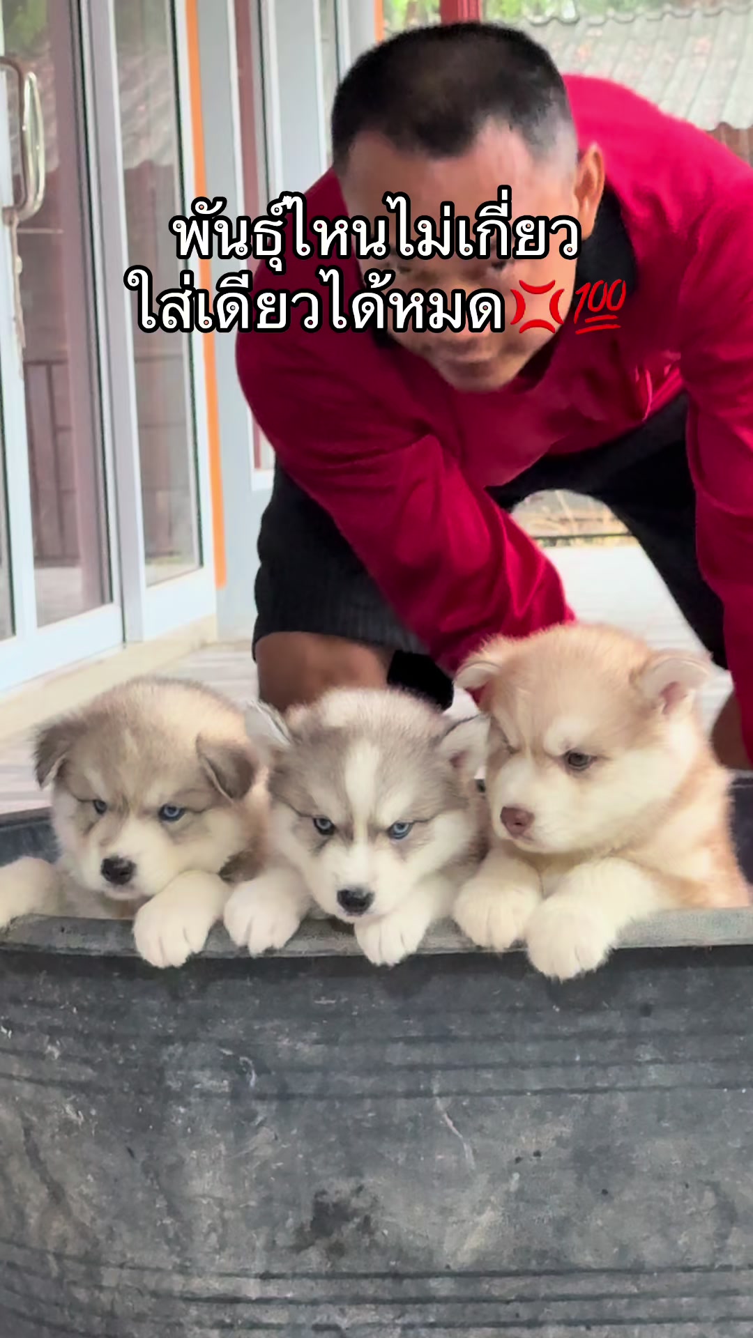 @บ้านน้องหมา ศรีสะเกษ 💖