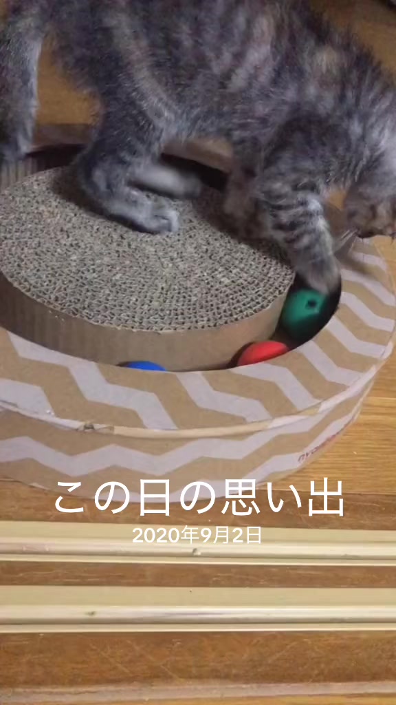 @♪♪ナォ♪♪