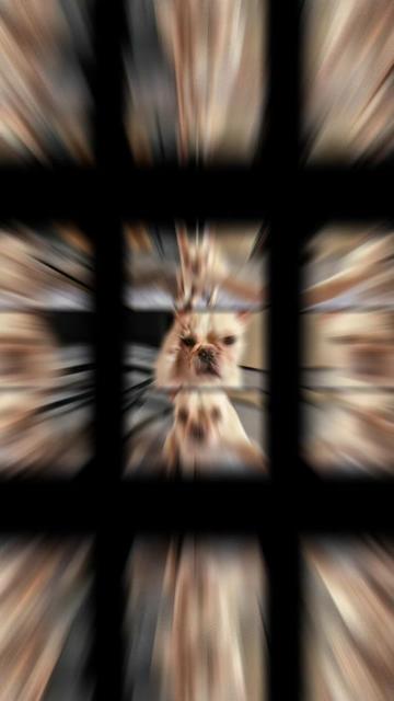 @올가
