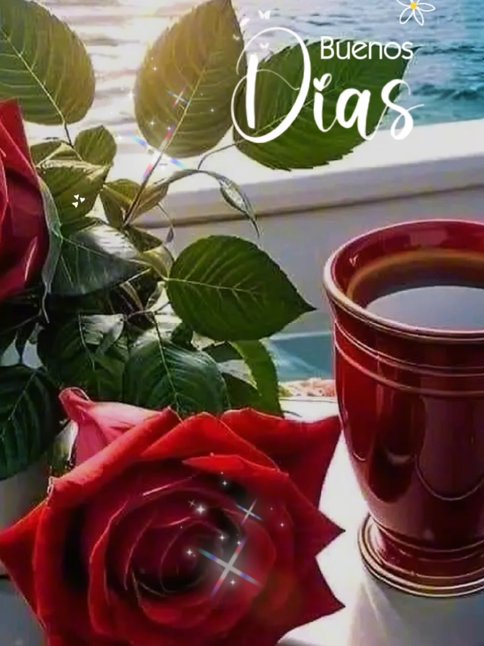 @♥️ 𝐹𝑒𝓁𝓎 ♥️