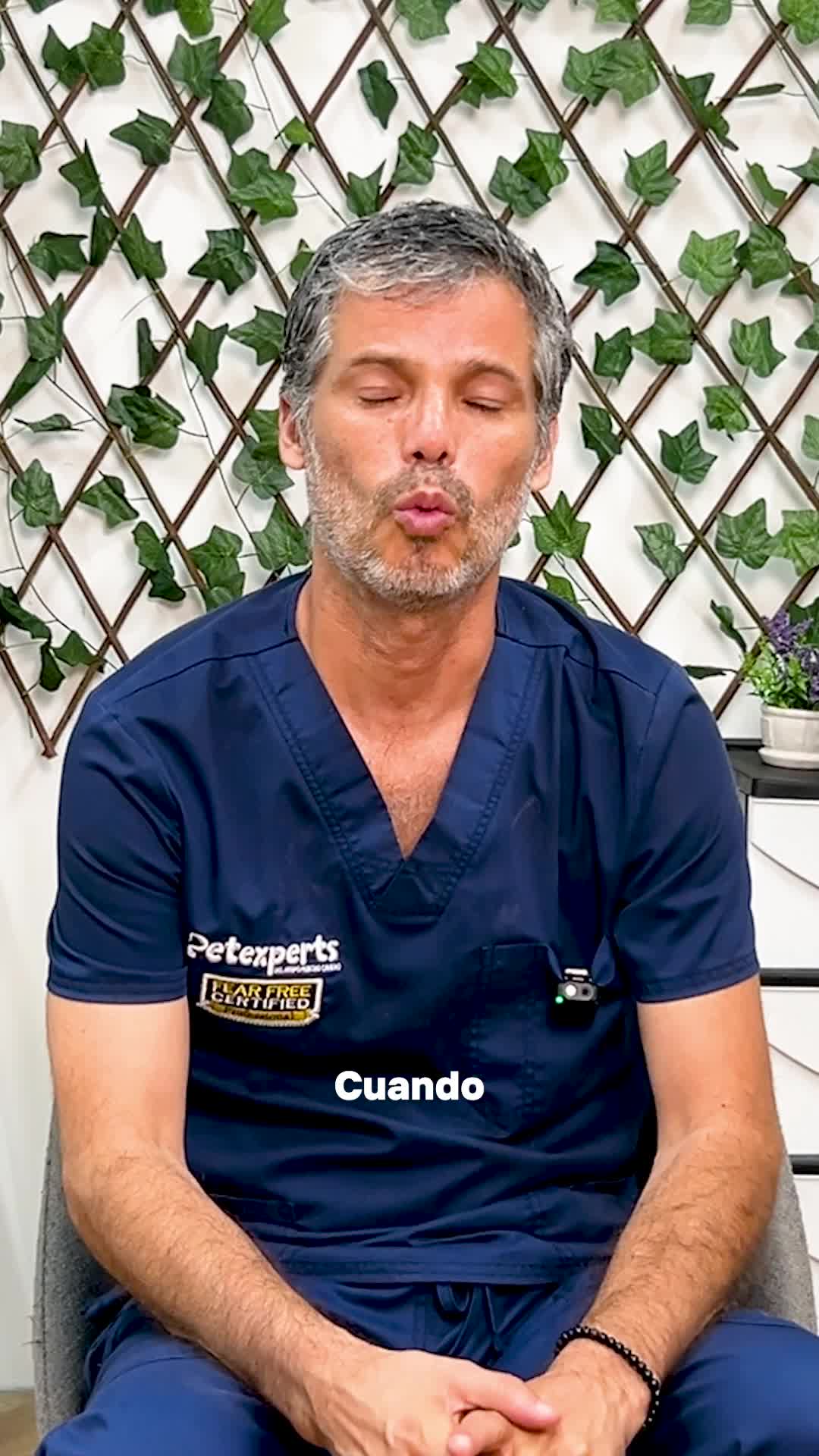 @Pancho Cavero