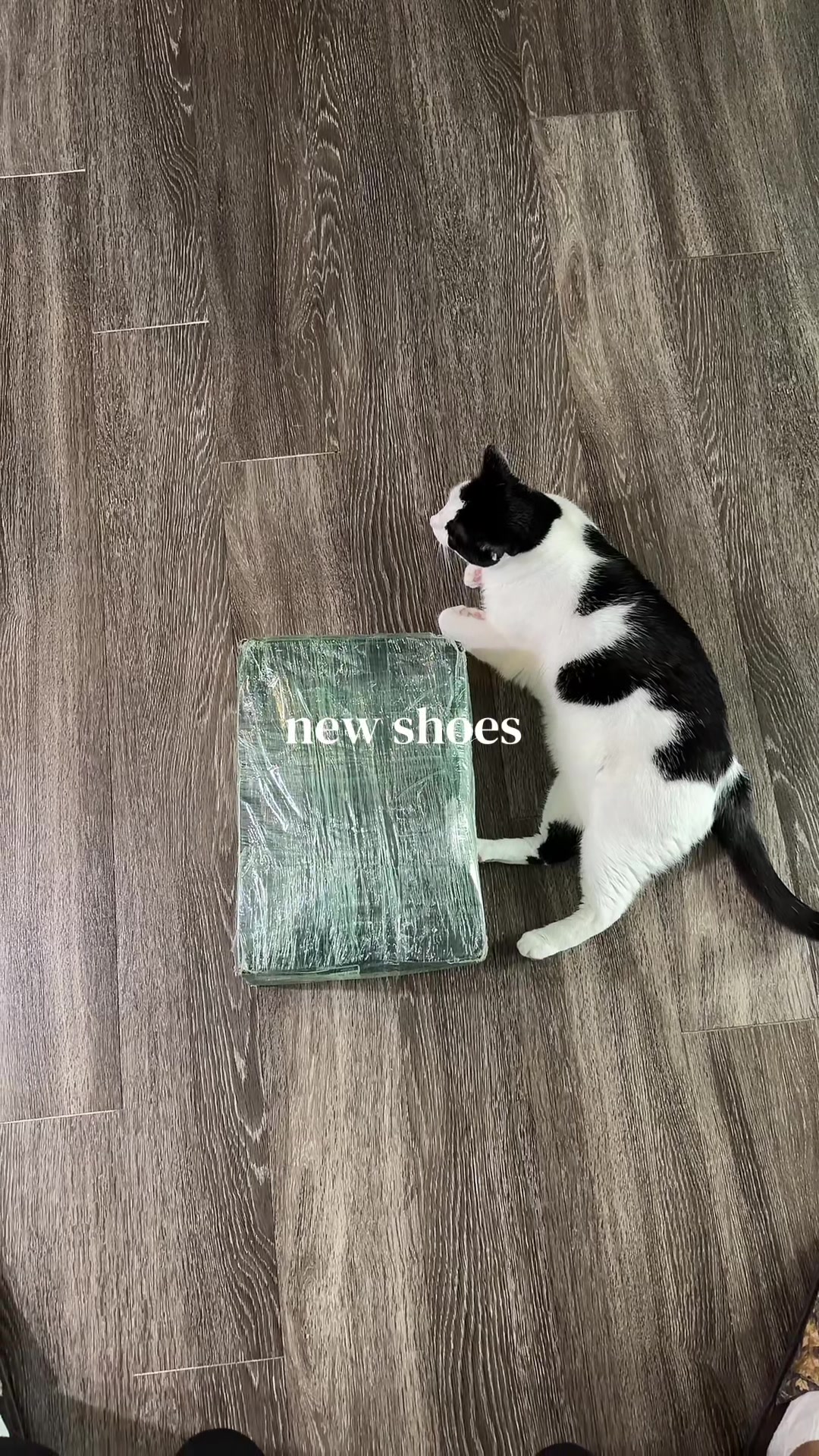 @no