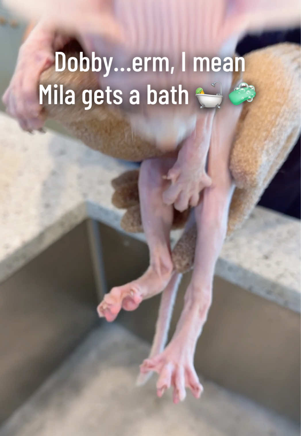 @Boba&rsquo;s Buds Minskin Cats