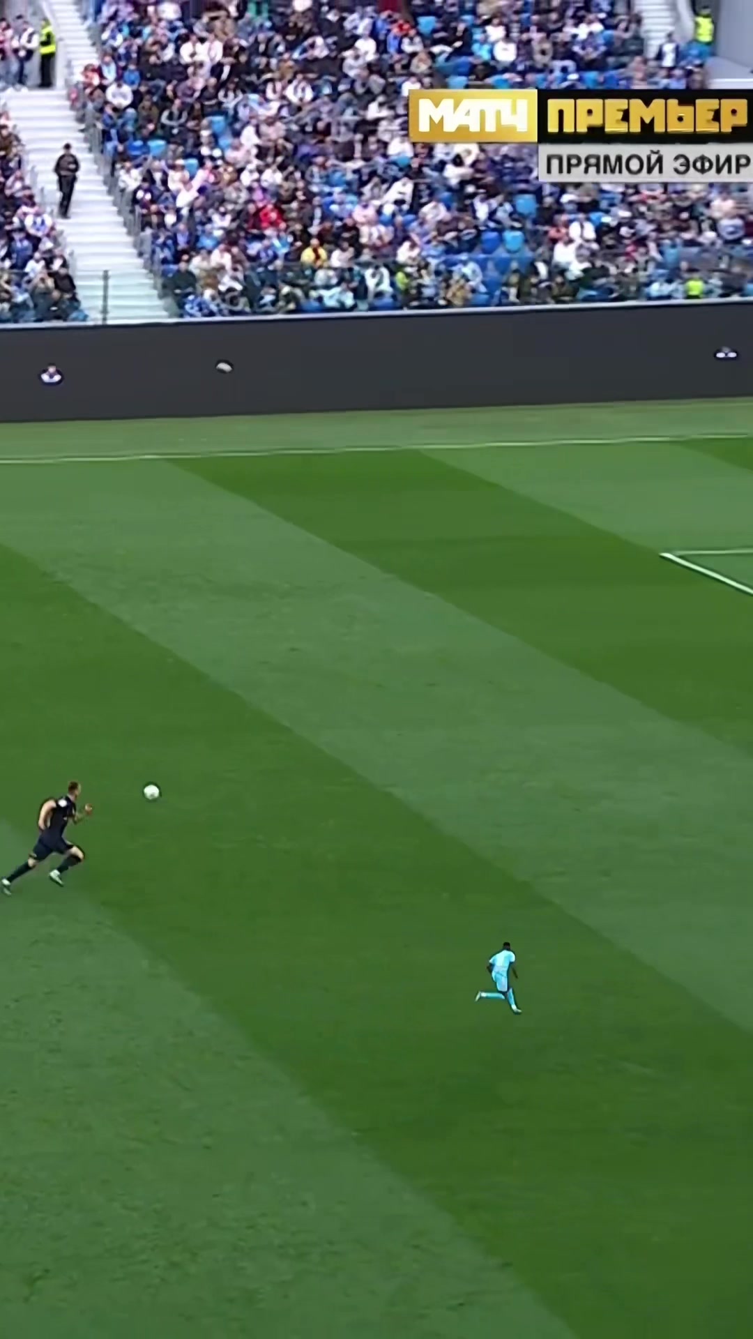@FC Zenit