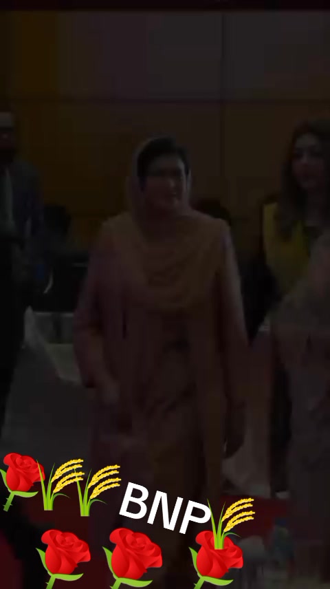 @mdsalauddiinbnp