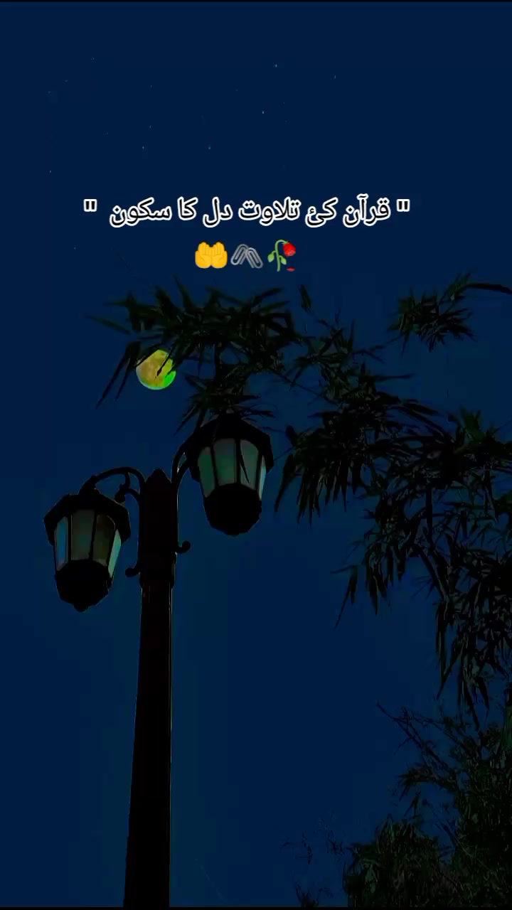 @گمنام دل❤️🩹