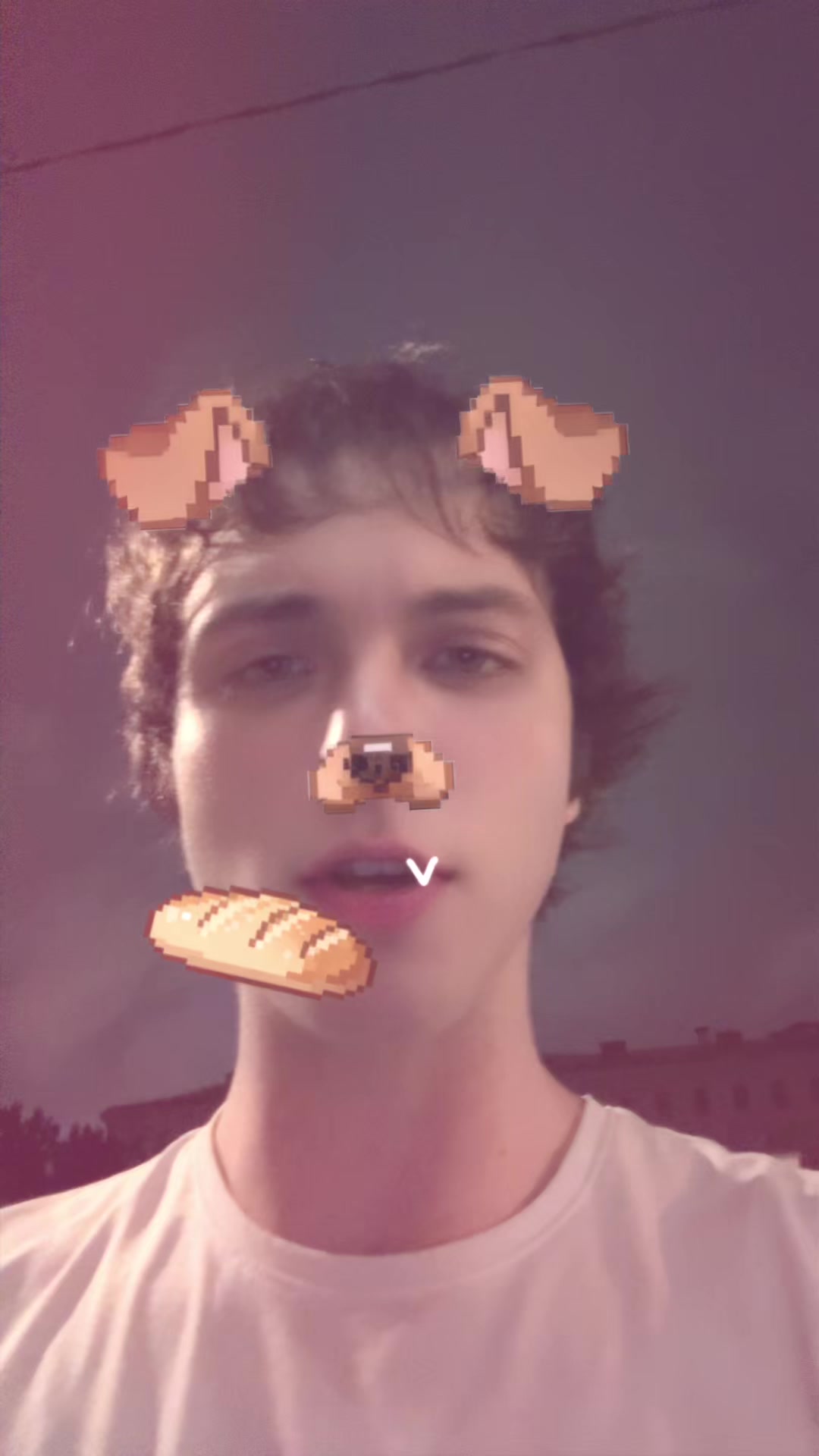 @metamama228