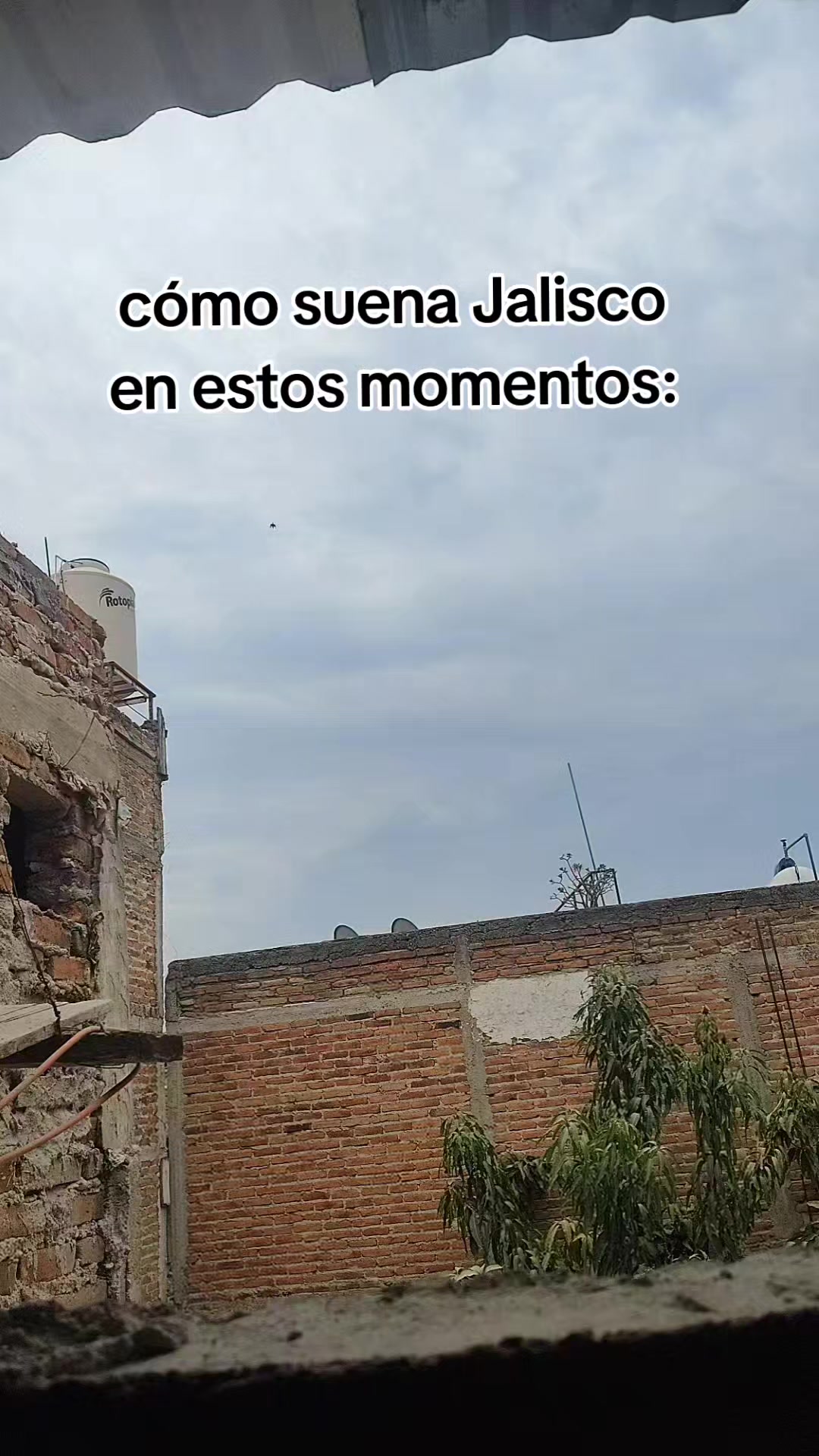 @Emiliano🗣️🔥