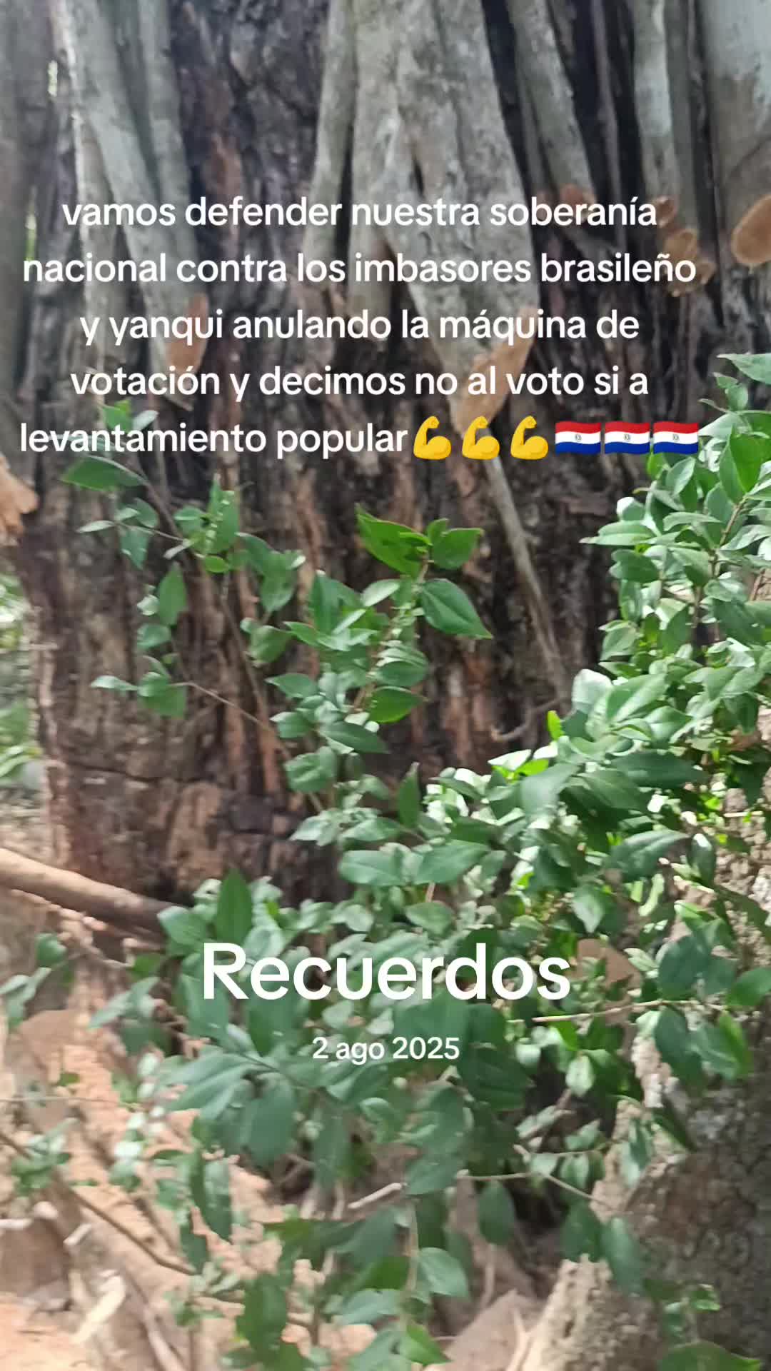 @Apolinario Quintana