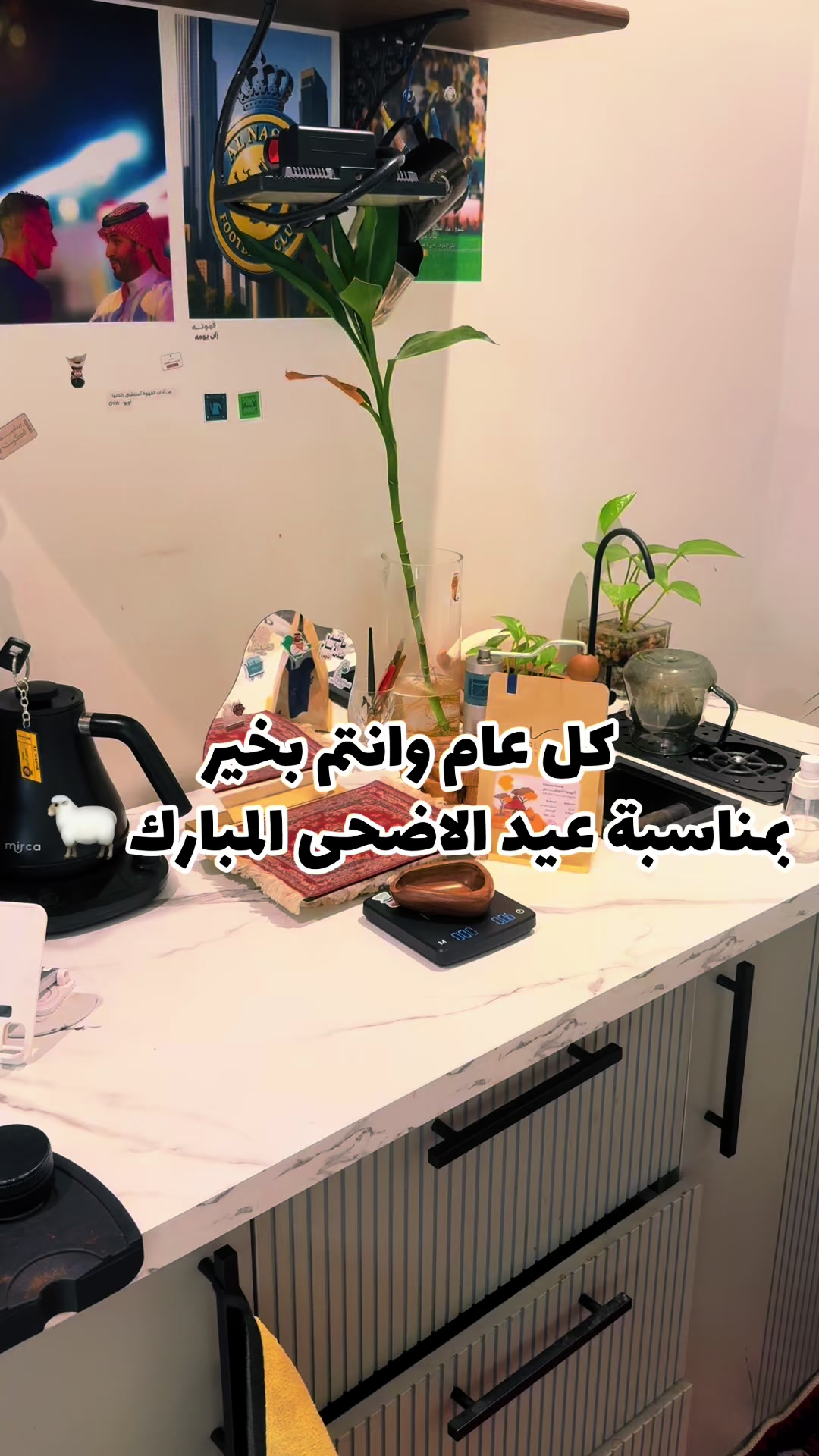@ABDULRHMAN JABER