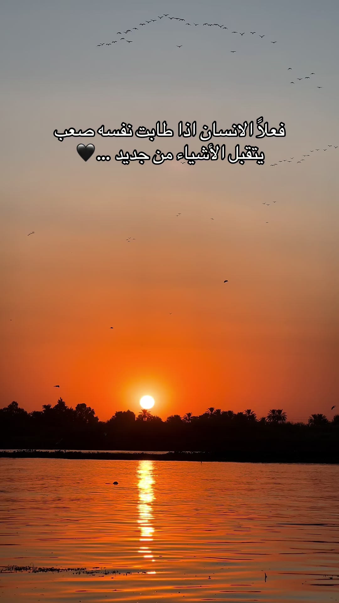 @زاهر علي