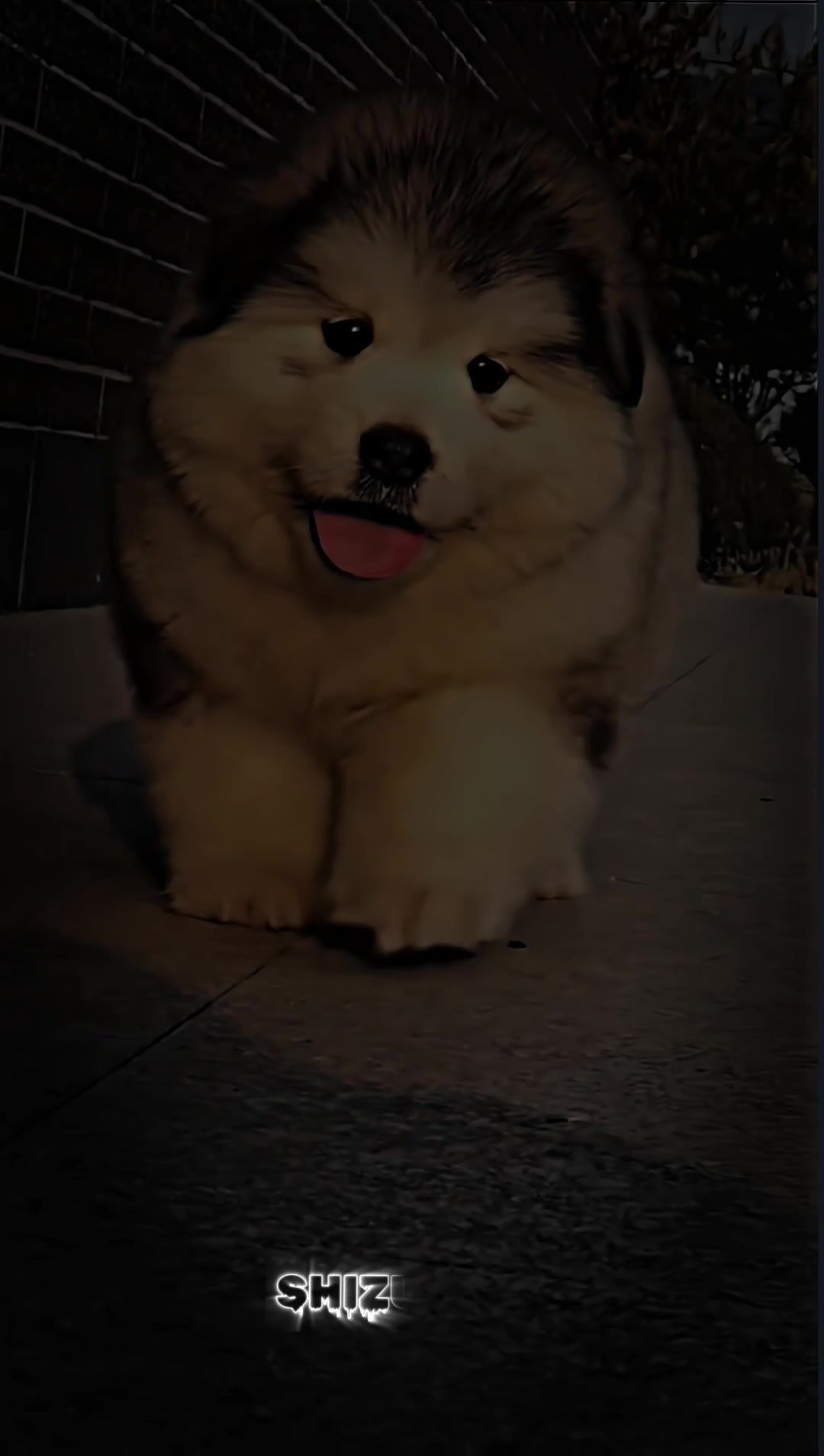 @𝐒ʜɪᴢᴜ | 𝙍𝙀 | 𝐄ᴅɪᴛ