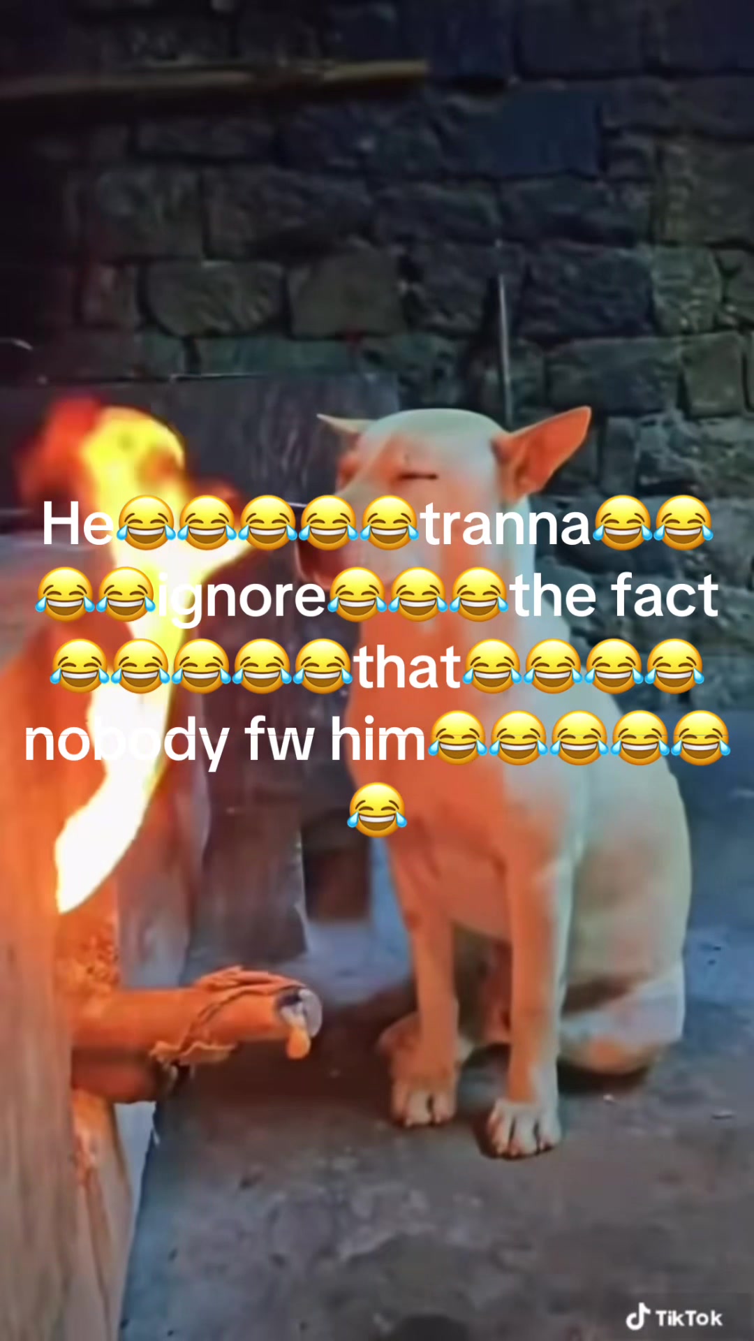 @𝖚𝖓𝖐𝖓𝖔𝖜𝖓𝖓𝖌𝖆🕷