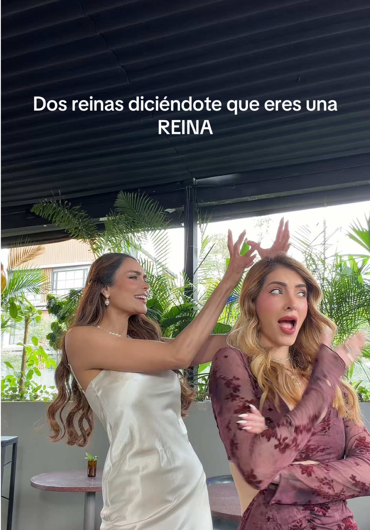 @DANI DUKE 🦋